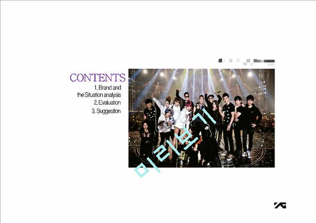 YG Entertainment Brand and the Situation analysis   (2 )